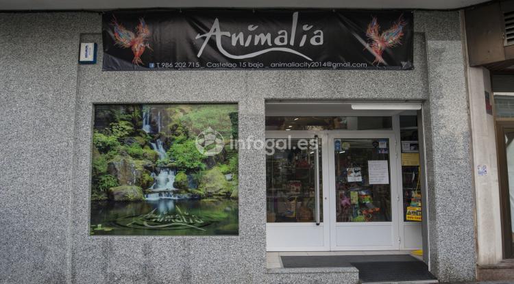 Animalia