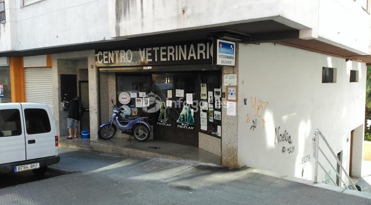 Centro Veterinario Xílgaro