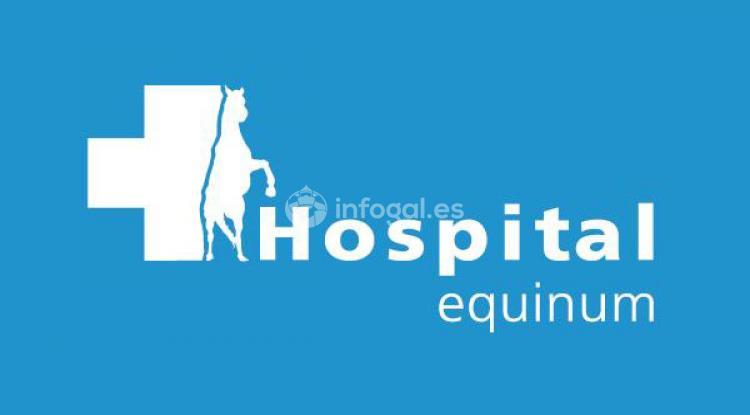 Hospital Equinum