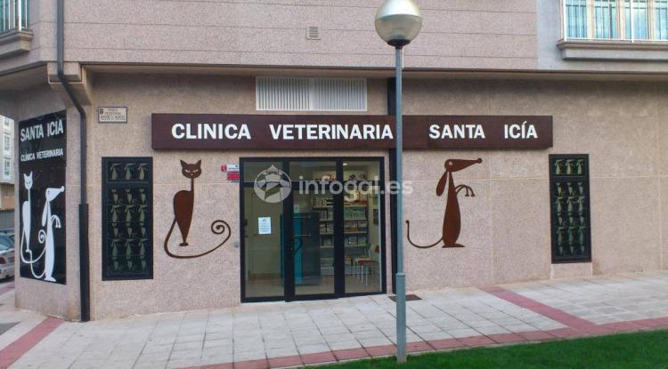 Santa Icía