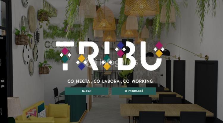 TRIBU COWORKING