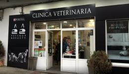 22 Clínica Veterinaria