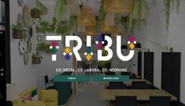 TRIBU COWORKING